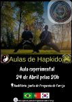 Aula Experimental de Hapkido